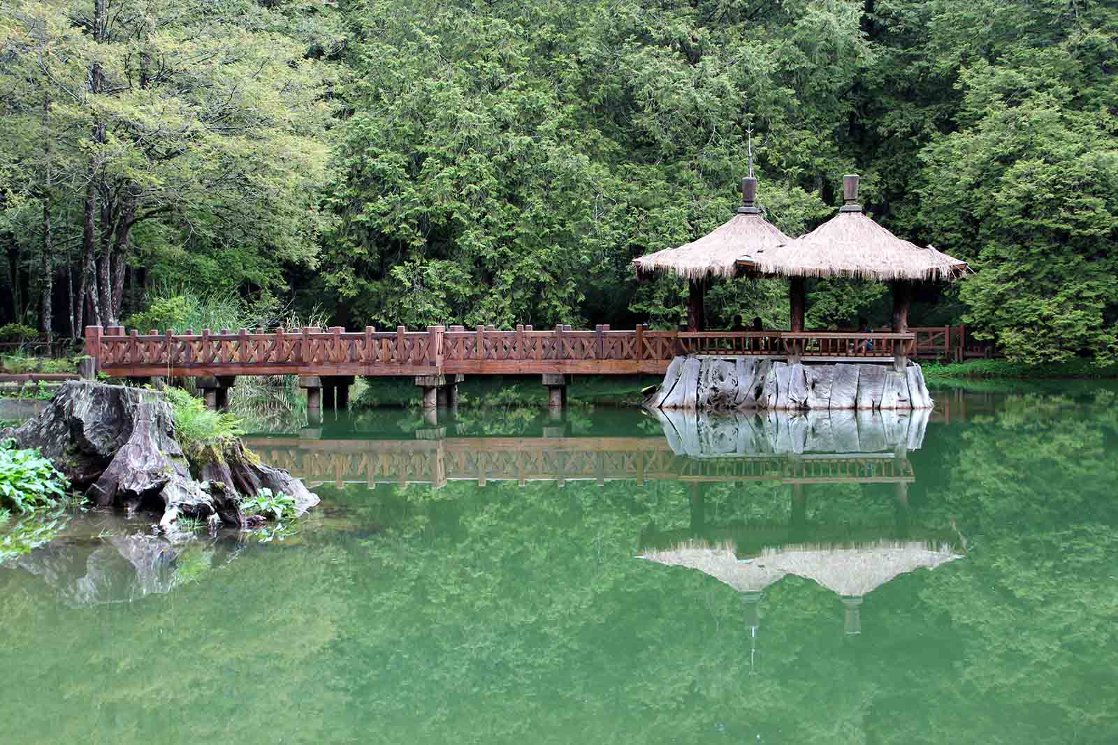 The Jiemei Lakes, or ‘Sister Lakes’ in the Alishan Forest Recreation Area, Taiwan | Trekking Taiwan