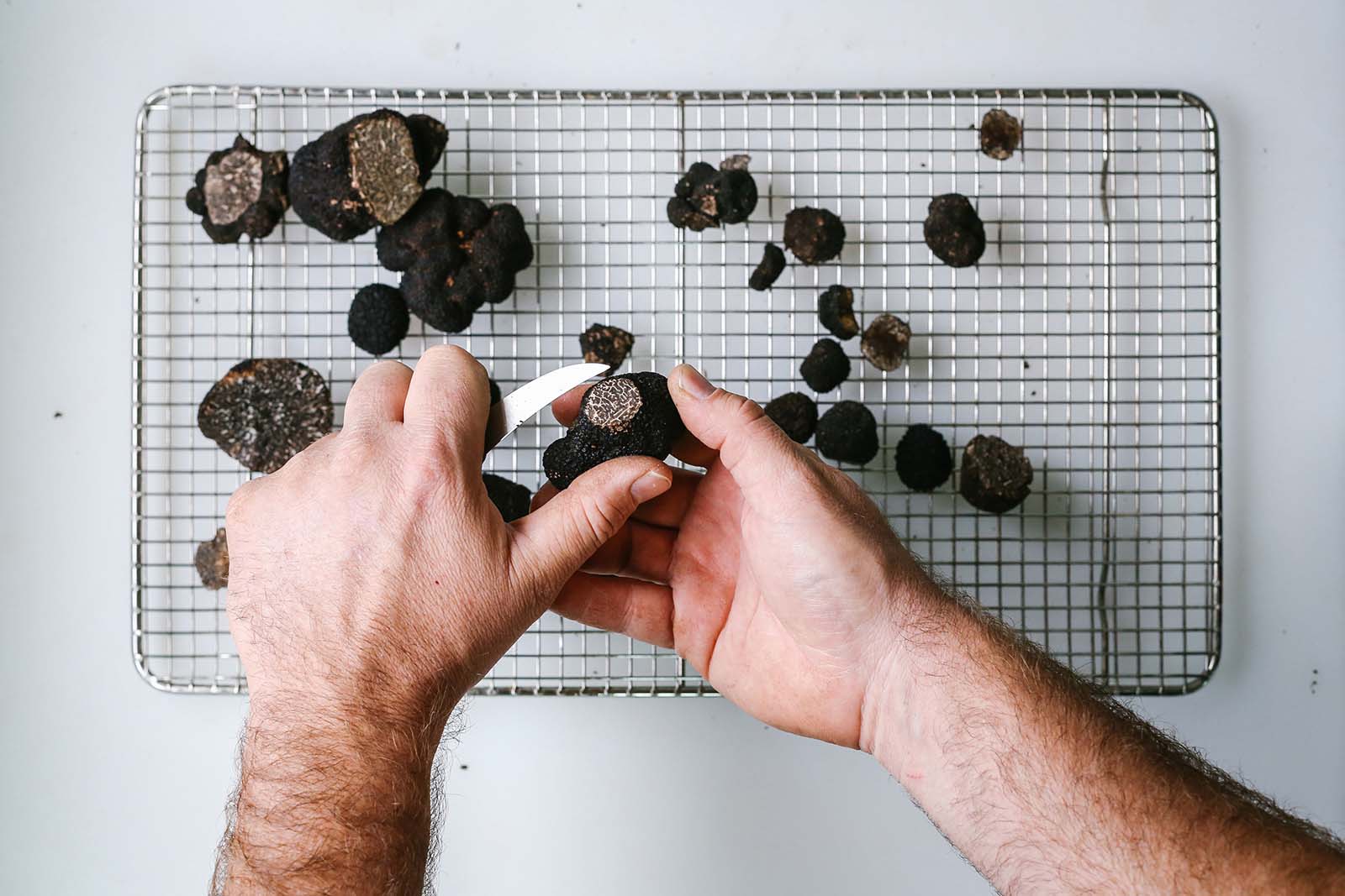 Preparing truffles at The Truffle Farm Canberra | Join the truffle hunt