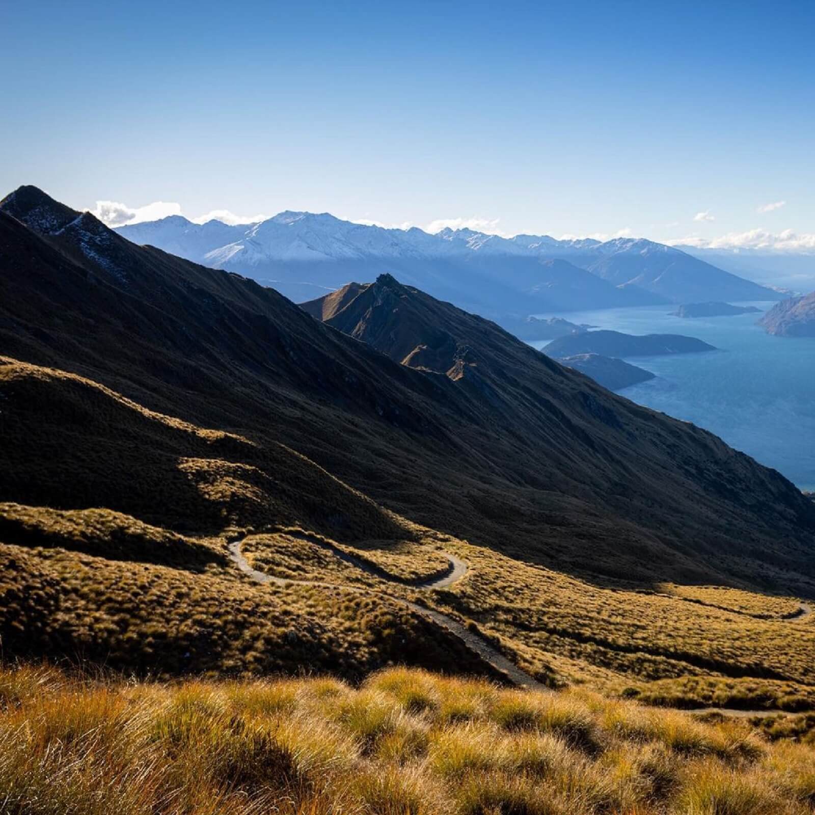 Roys Peak Summit  