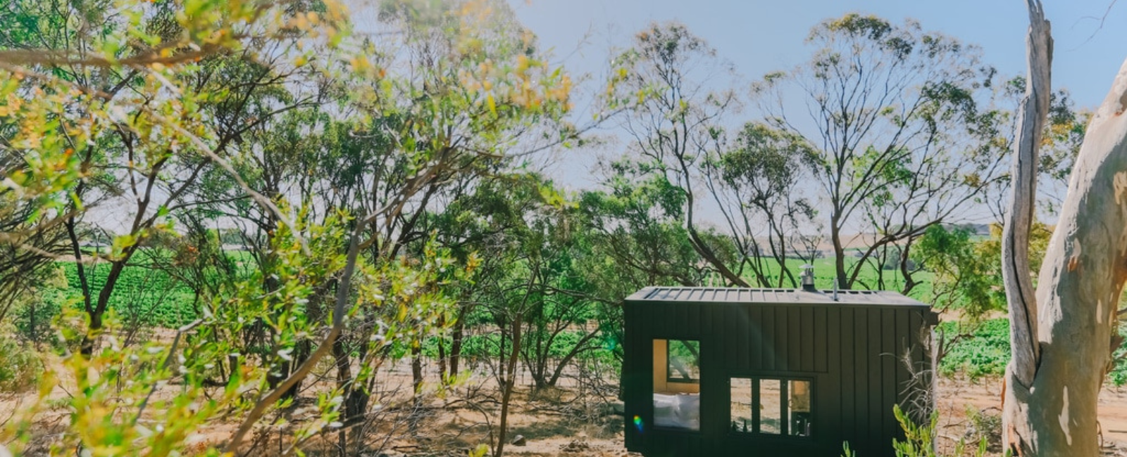 CABN tiny house surrounded by trees