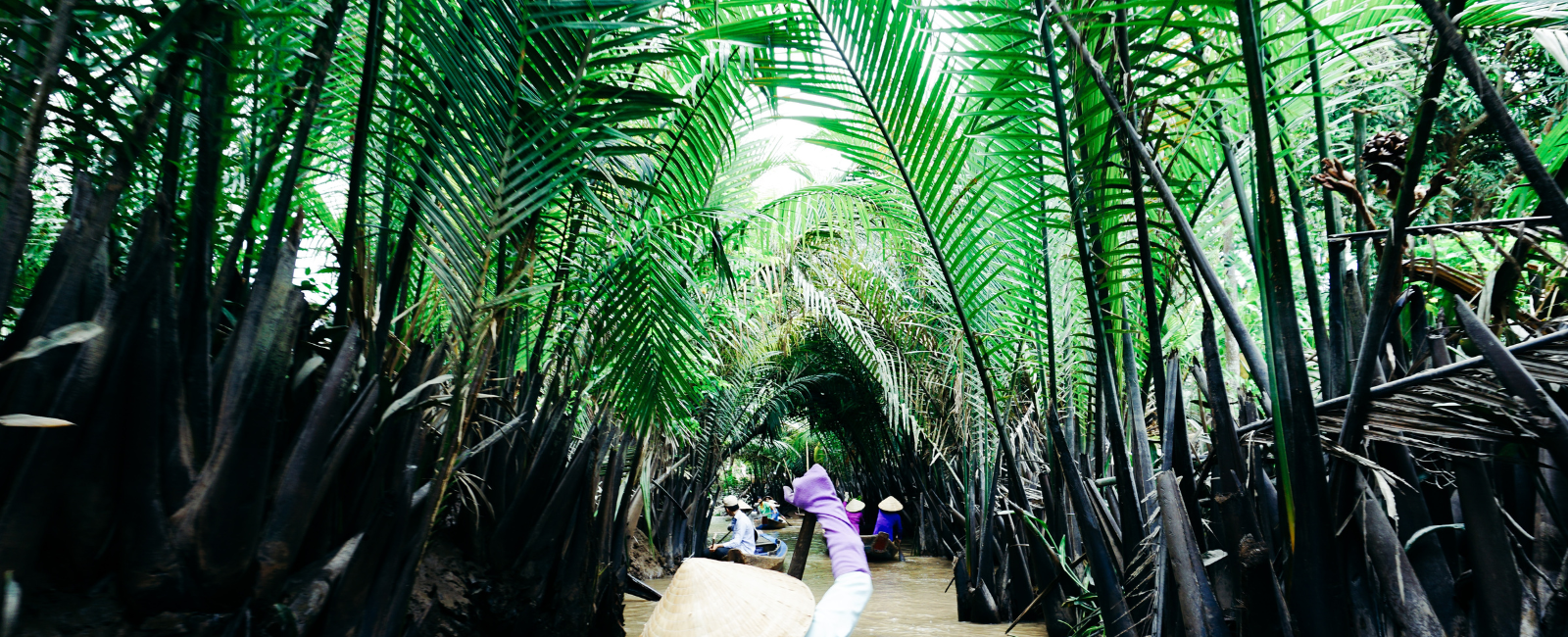 People canoeing down a Mekong Delta canal